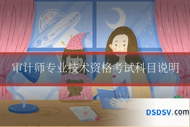 审计师专业技术资格考试科目说明