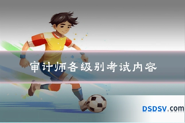 审计师各级别考试内容