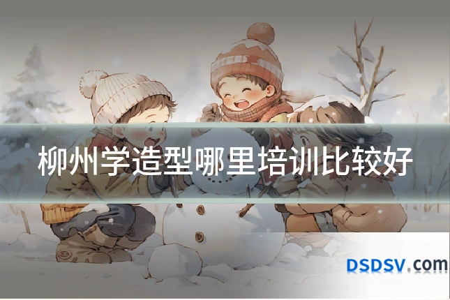 柳州学造型哪里培训比较好
