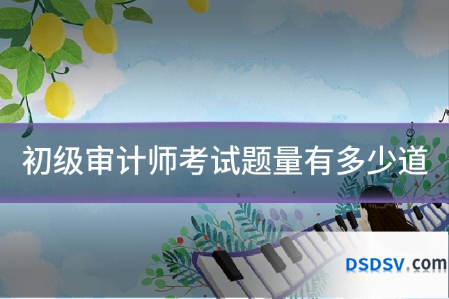 初级审计师考试题量有多少道