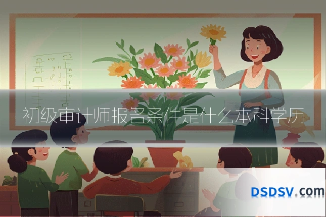 初级审计师报名条件是什么本科学历