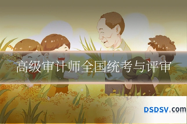 高级审计师全国统考与评审
