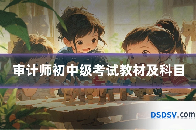 审计师初中级考试教材及科目