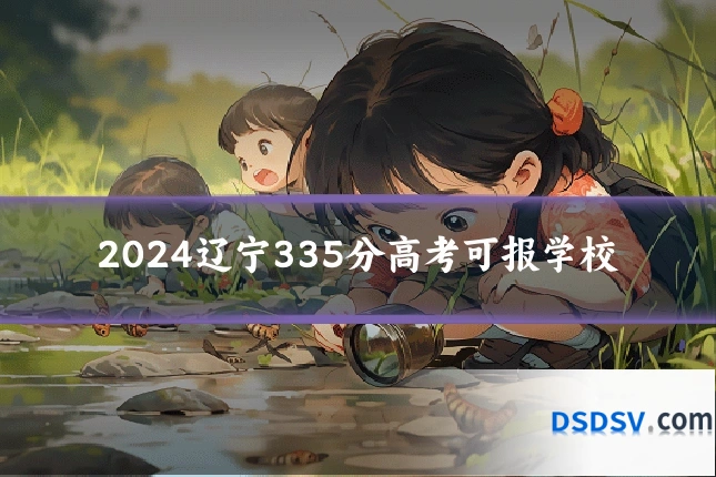 2024辽宁335分高考可报学校