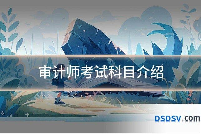 审计师考试科目介绍