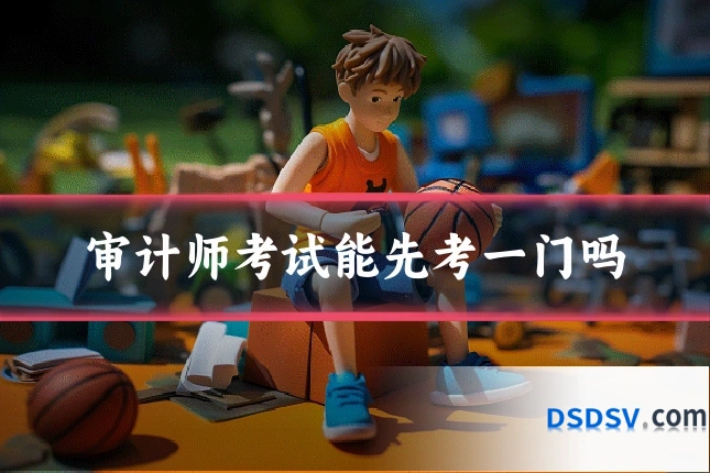 审计师考试能先考一门吗