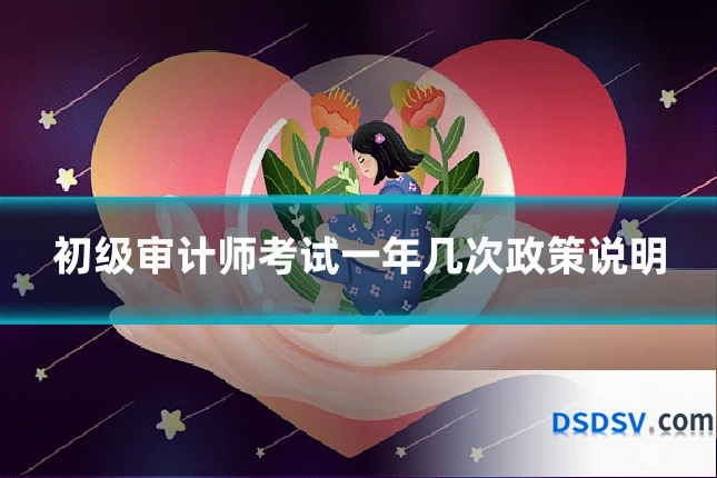 初级审计师考试一年几次政策说明