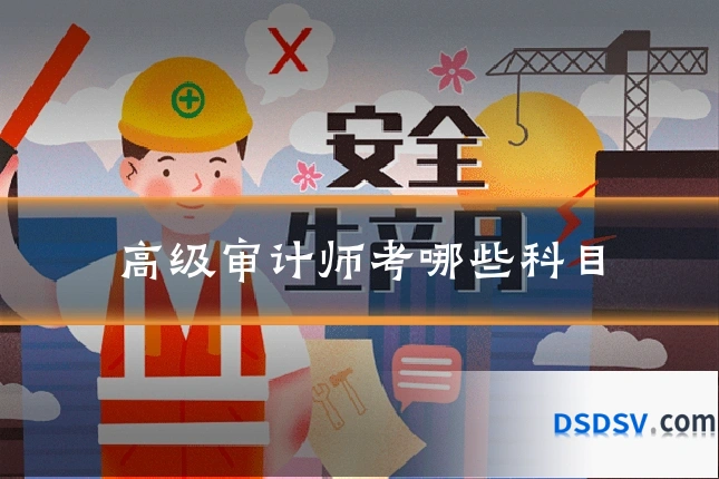 高级审计师考哪些科目