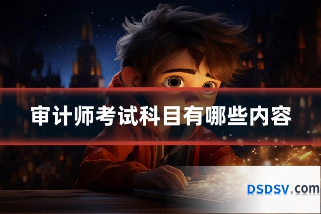 审计师考试科目有哪些内容