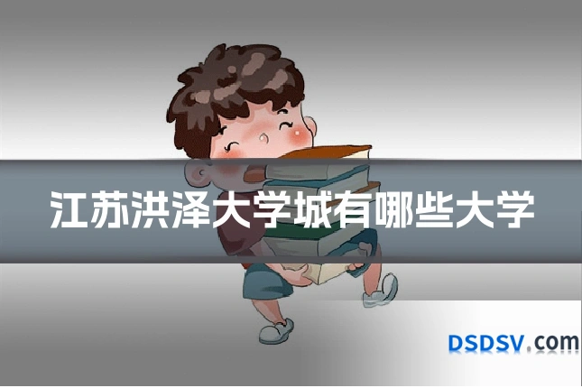 江苏洪泽大学城有哪些大学