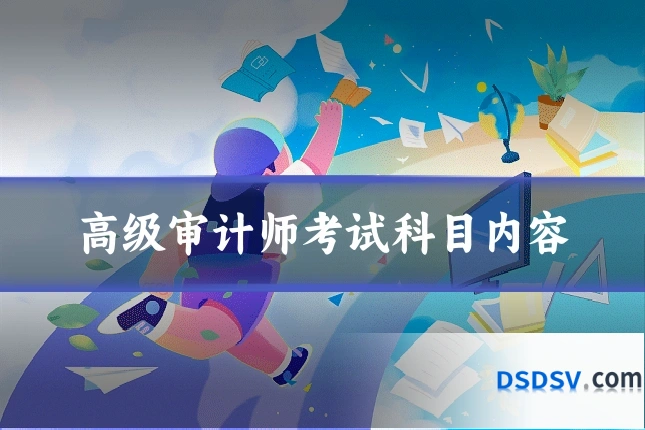高级审计师考试科目内容