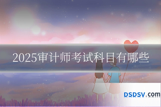 2025审计师考试科目有哪些