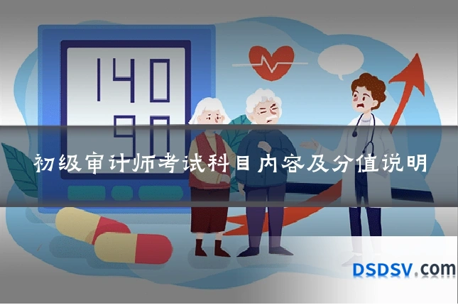 初级审计师考试科目内容及分值说明