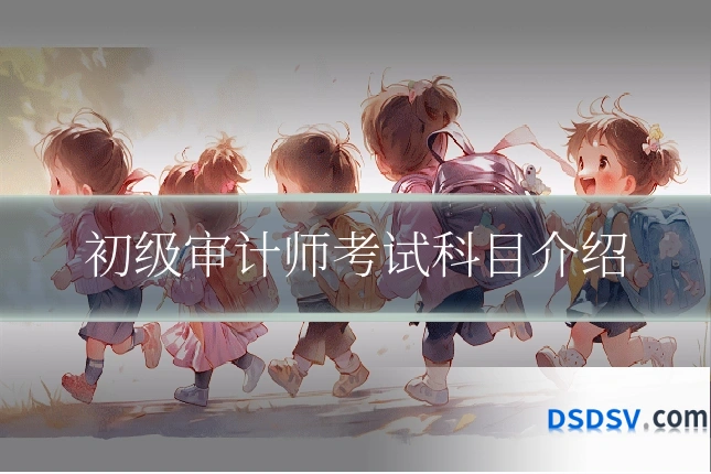 初级审计师考试科目介绍