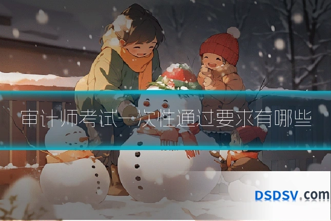 审计师考试一次性通过要求有哪些