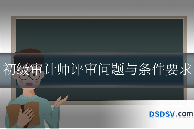 初级审计师评审问题与条件要求