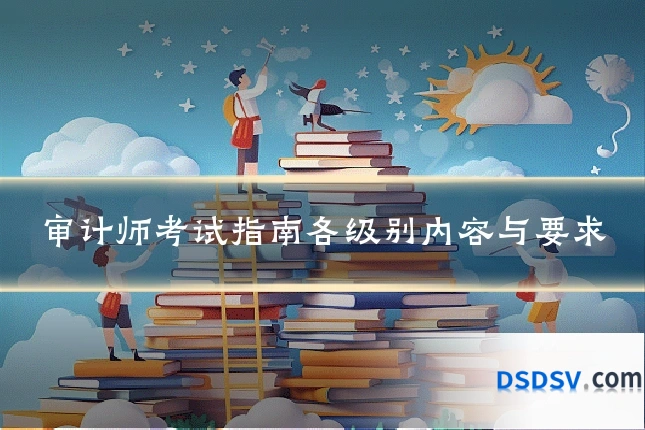审计师考试指南各级别内容与要求