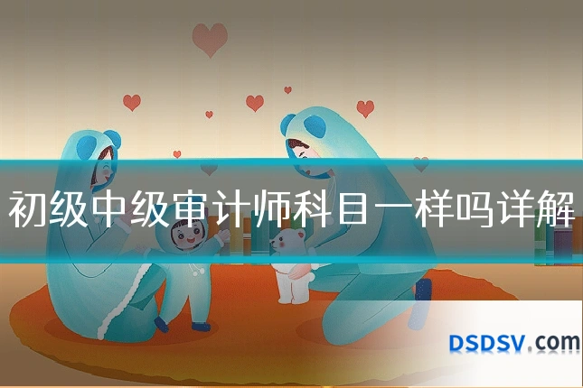 初级中级审计师科目一样吗详解