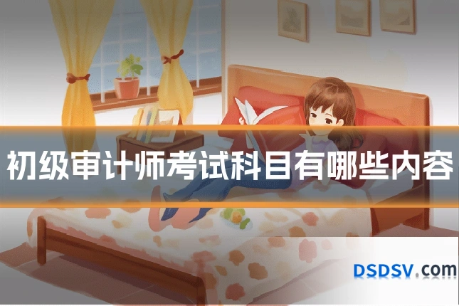 初级审计师考试科目有哪些内容