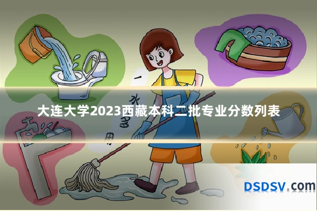 大连大学2023西藏本科二批专业分数列表