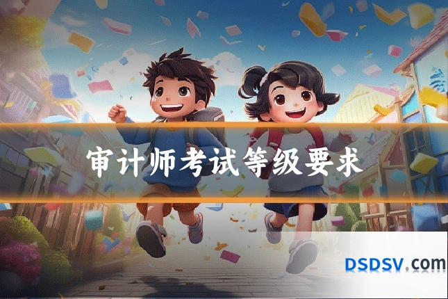 审计师考试等级要求