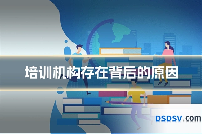 培训机构存在背后的原因
