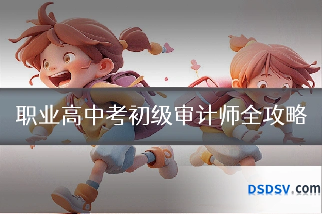职业高中考初级审计师全攻略