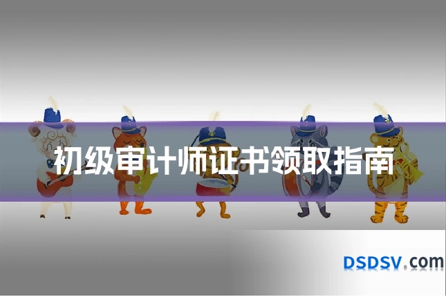 初级审计师证书领取指南