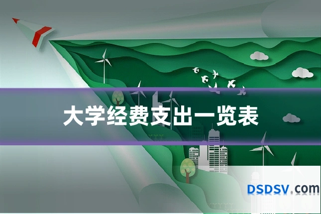大学经费支出一览表