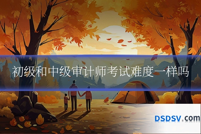 初级和中级审计师考试难度一样吗