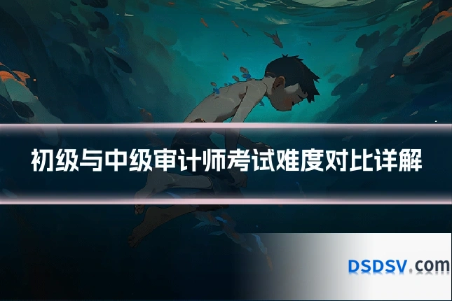初级与中级审计师考试难度对比详解