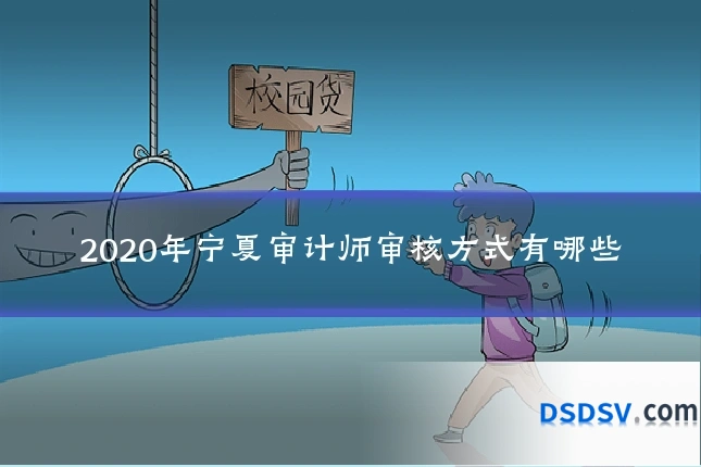 2020年宁夏审计师审核方式有哪些