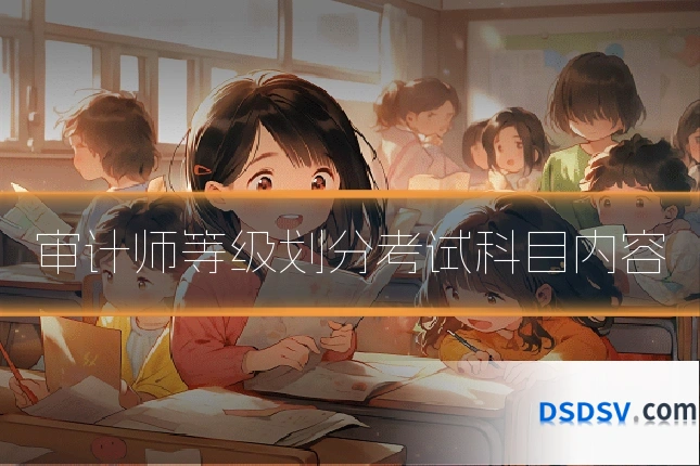 审计师等级划分考试科目内容