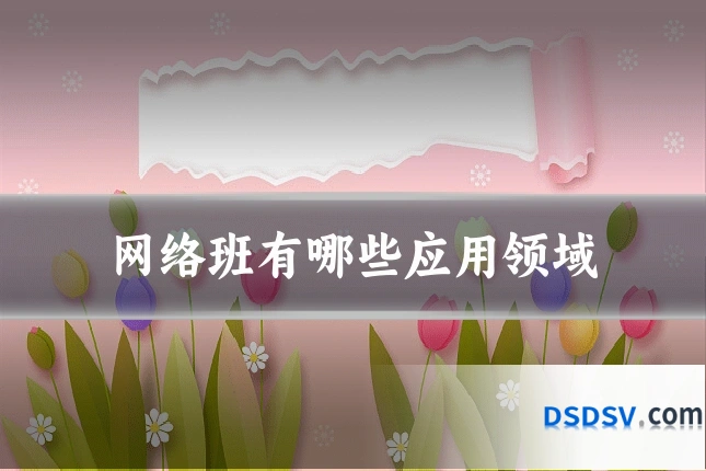 网络班有哪些应用领域
