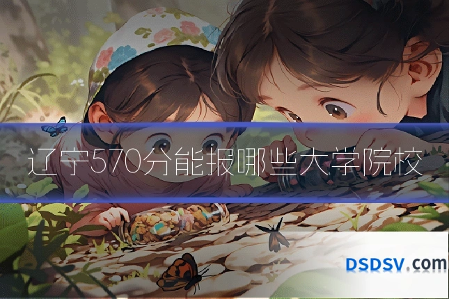 辽宁570分能报哪些大学院校