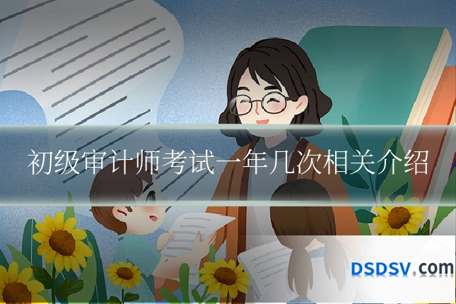 初级审计师考试一年几次相关介绍
