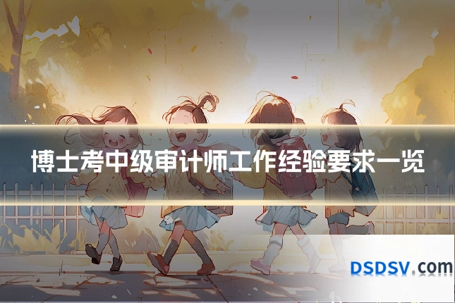 博士考中级审计师工作经验要求一览