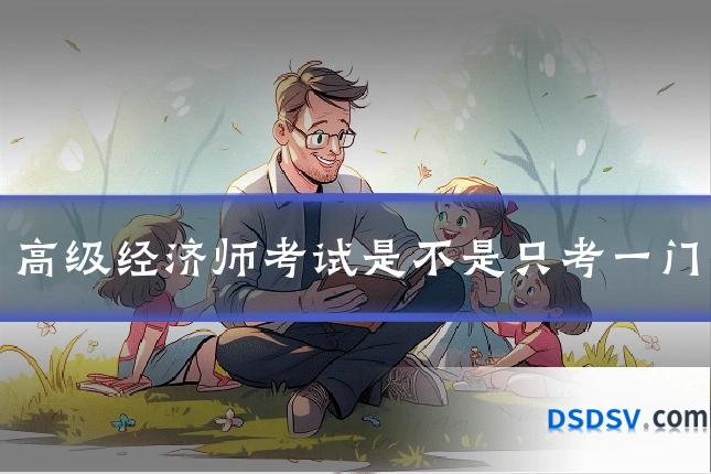 高级经济师考试是不是只考一门