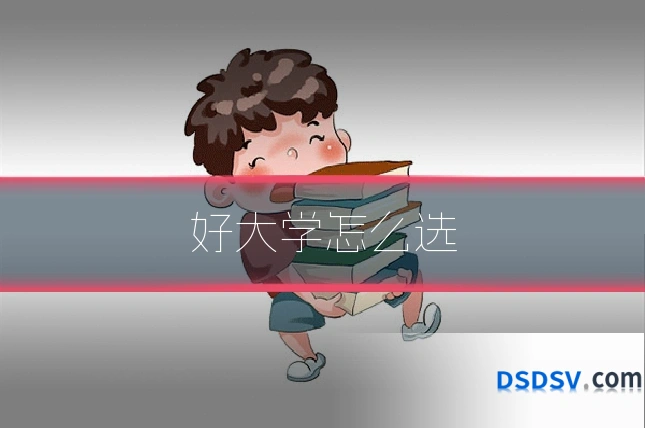 好大学怎么选