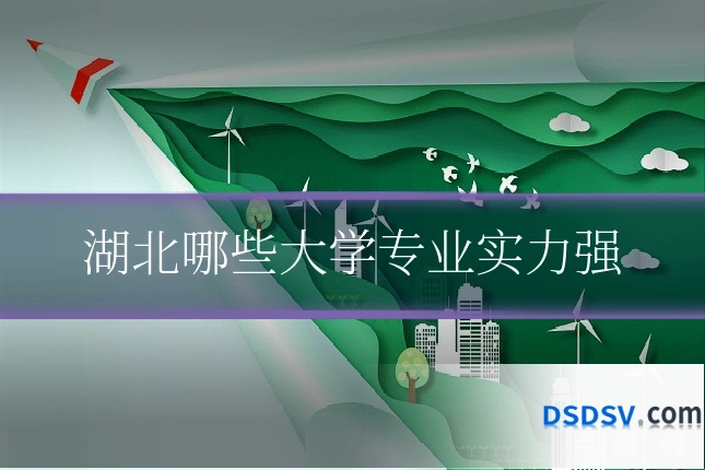 湖北哪些大学专业实力强