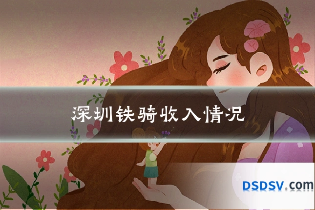 深圳铁骑收入情况