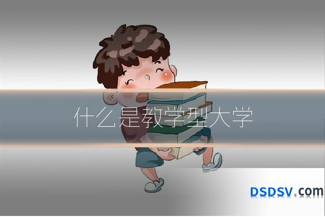 什么是教学型大学
