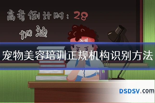 宠物美容培训正规机构识别方法