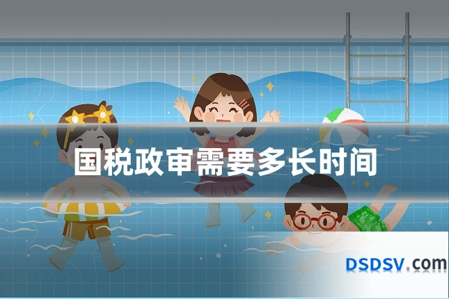 国税政审需要多长时间