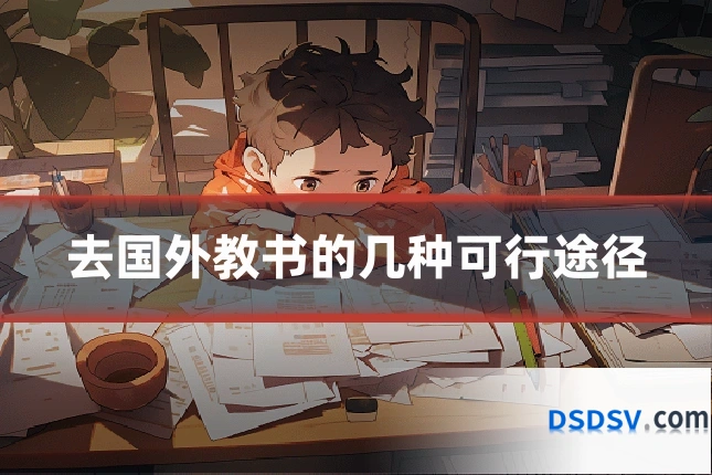 去国外教书的几种可行途径