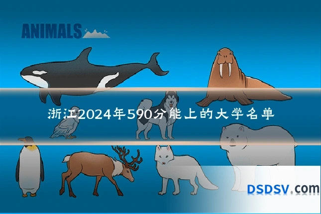 浙江2024年590分能上的大学名单