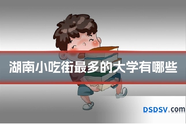 湖南小吃街最多的大学有哪些