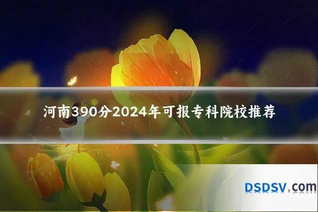 河南390分2024年可报专科院校推荐