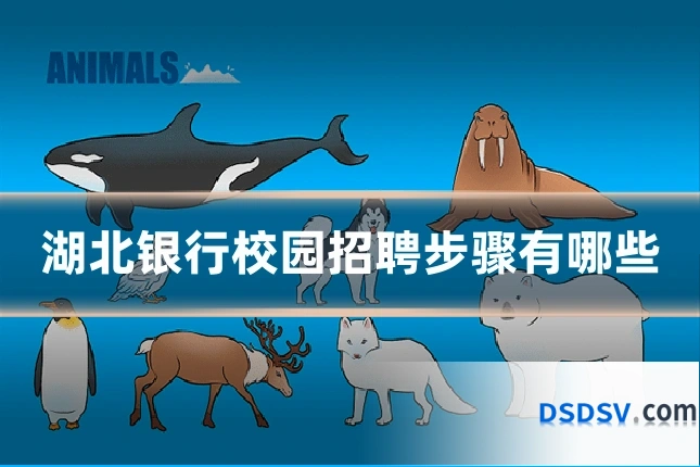 湖北银行校园招聘步骤有哪些