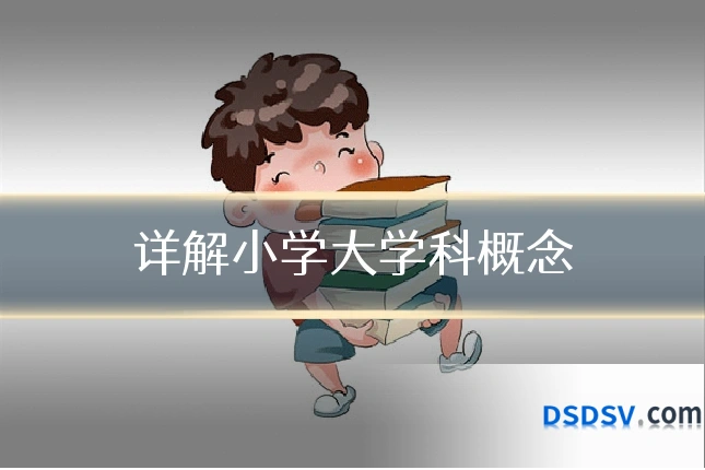 详解小学大学科概念